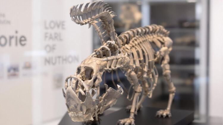 le musee dhistoire n